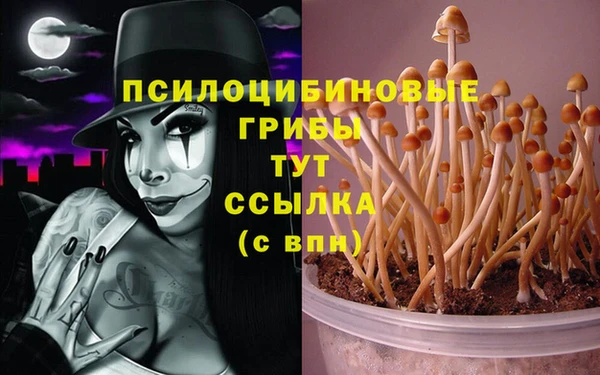 шишки Абдулино