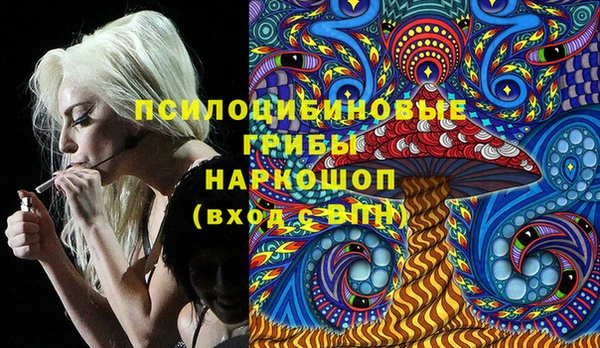 шишки Абдулино