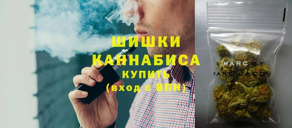 сатива Михайлов