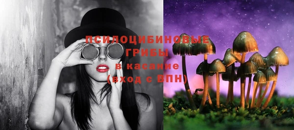 шишки Абдулино