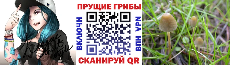 Галлюциногенные грибы ЛСД  цена наркотик  Яранск 